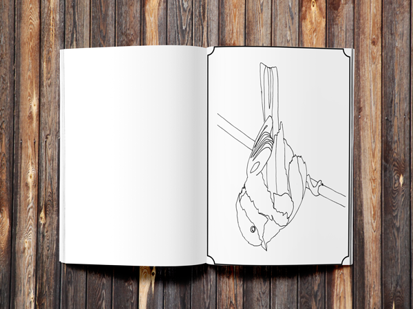 Legacy Bound-Boundary Waters Critters - Create & Color Book-LBP1001