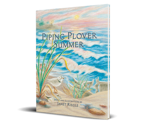 Legacy Bound-Piping Plover Summer - Softcover-LBP2313