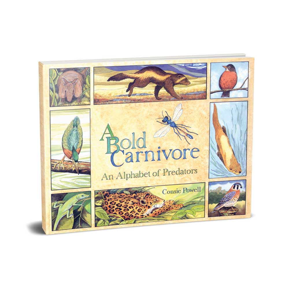 Legacy Bound-A Bold Carnivore - Hardcover-LBP2407