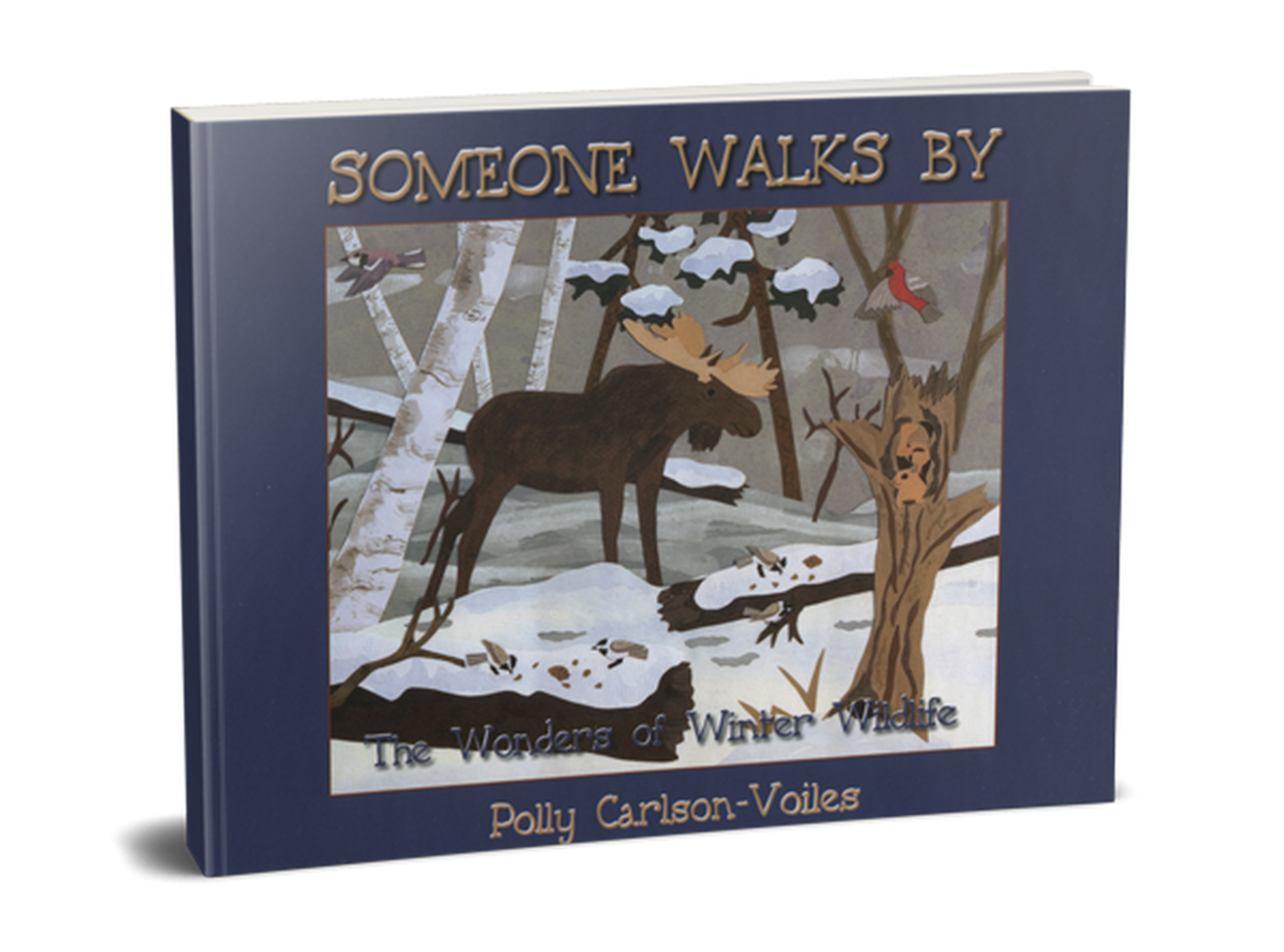 Legacy Bound-Someone Walks By - Softcover-LBP2314